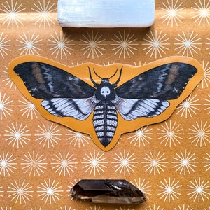 May include: A white selenite stick, a black and white moth sticker, and a dark brown smoky quartz crystal on a brown background with a white starburst pattern.