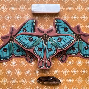 May include: Three blue and green butterfly stickers with intricate details on a brown background with a white star pattern.