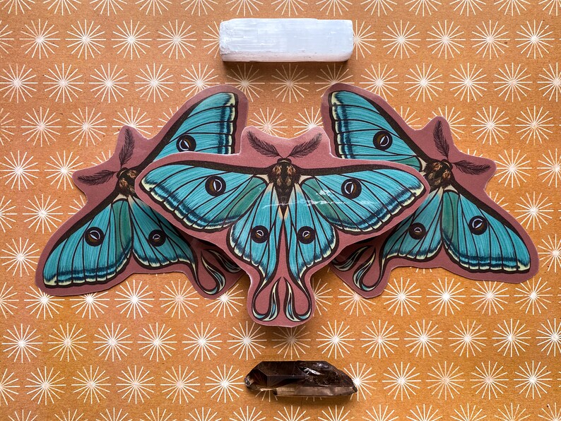 May include: Three blue and green butterfly stickers with intricate details on a brown background with a white star pattern.