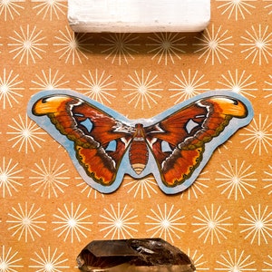 May include: A white selenite stick, a brown and orange butterfly sticker, and a clear smoky quartz crystal on a brown background with a white starburst pattern.
