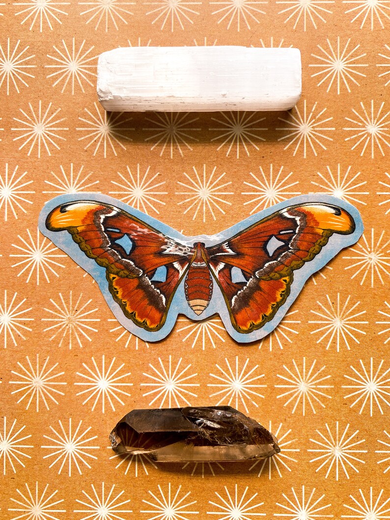 May include: A white selenite stick, a brown and orange butterfly sticker, and a clear smoky quartz crystal on a brown background with a white starburst pattern.