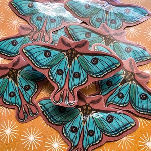 May include: A set of six colorful moth stickers with blue wings and black eyes. The stickers are on a brown background with a white starburst pattern.