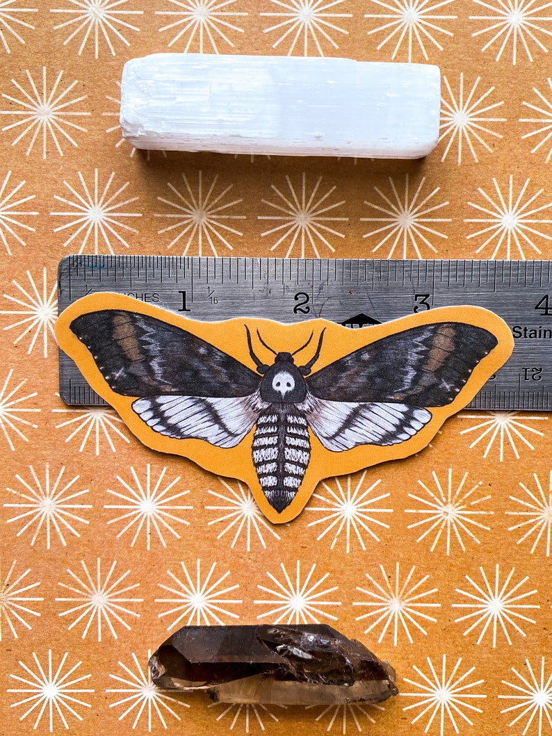 May include: A black and white moth sticker with a skull and crossbones design on a yellow background. The sticker is placed on a ruler with inches marked. The ruler is on a brown surface with a white starburst pattern.