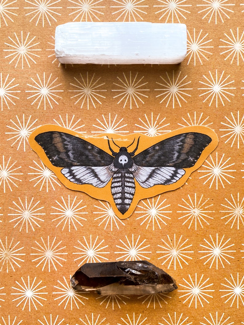 May include: A white selenite stick, a black and white moth sticker, and a smoky quartz crystal on a brown background with a white starburst pattern.