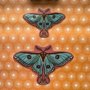 May include: Two teal blue and brown moth stickers on a brown background with a white selenite crystal and a brown crystal at the top and bottom of the image.