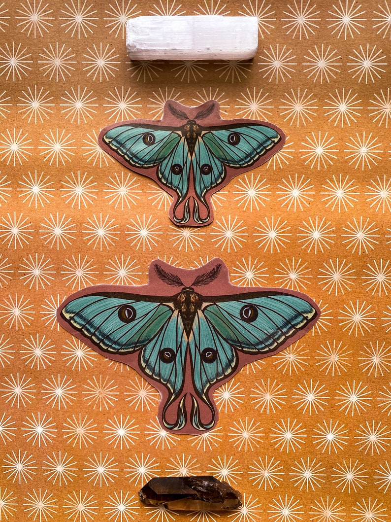 May include: Two teal blue and brown moth stickers on a brown background with a white selenite crystal and a brown crystal at the top and bottom of the image.