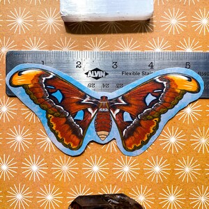 May include: A brown and orange butterfly sticker with blue wings and a white background. The sticker is placed on a ruler with the text "ALVIN Flexible Steel" and the numbers 1, 2, 3, 4, and 5. The ruler is on a brown background with a white star pattern.