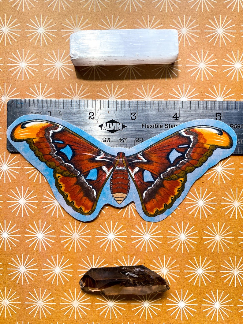 May include: A brown and orange butterfly sticker with blue wings and a white background. The sticker is placed on a ruler with the text "ALVIN Flexible Steel" and the numbers 1, 2, 3, 4, and 5. The ruler is on a brown background with a white star pattern.