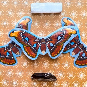 May include: Four colorful butterfly stickers on a brown background with a white star pattern. The butterflies have brown, orange, and yellow wings with a blue background.