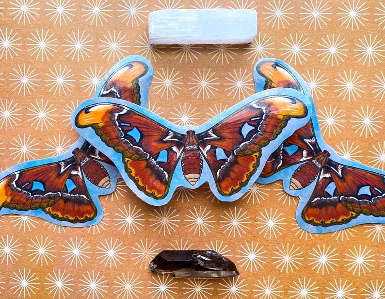 May include: Four colorful butterfly stickers on a brown background with a white star pattern. The butterflies have brown, orange, and yellow wings with a blue background.