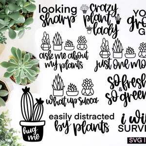 Succulent svg bundel, cactus svg, plant svg, plantenliefhebber svg, handlettered svg, plant lady svg, svg bestanden voor cricut, tuinieren svg, pot svg