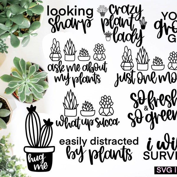 Pacote svg suculento, cacto svg, planta svg, amante de plantas svg, svg manipulado, planta senhora svg, arquivos svg para cricut, jardinagem svg, pote svg