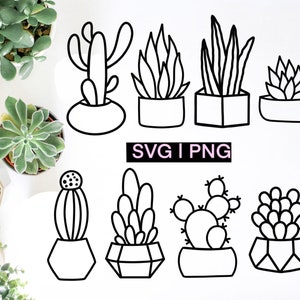 Paquete svg suculento, clipart suculento, svg de cactus, svg de planta, svg de cactus, archivos svg para cricut, clipart de cactus, paquete svg, archivo de corte de cactus