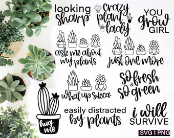 Free Free 232 Outline Flower Pot Svg SVG PNG EPS DXF File