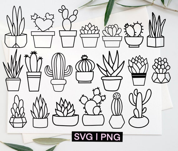 Succulent Clipart Succulent Svg Bundle Cactus Svg Bundle - Etsy Canada