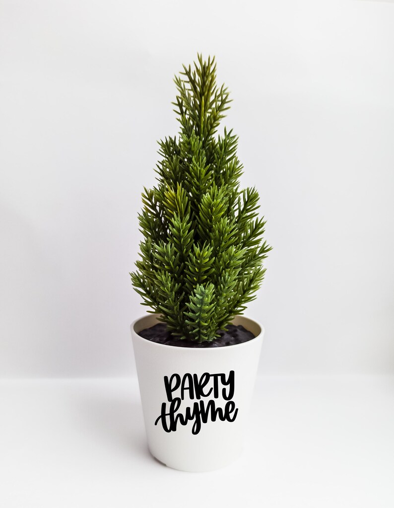 Puede incluir: Una maceta de cer&aacute;mica blanca con el texto "Party Thyme" en letras negras. La maceta contiene un peque&ntilde;o pino artificial verde.