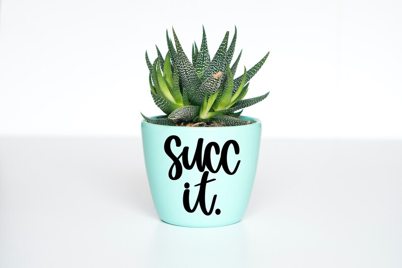 Download Clip Art Art Collectibles Plant Cut File Succulent Svg Plant Svg Bundle Plants Svg Houseplant Svg Succulent Svg Bundle Garden Quote Svg Funny Plant Quote Svg