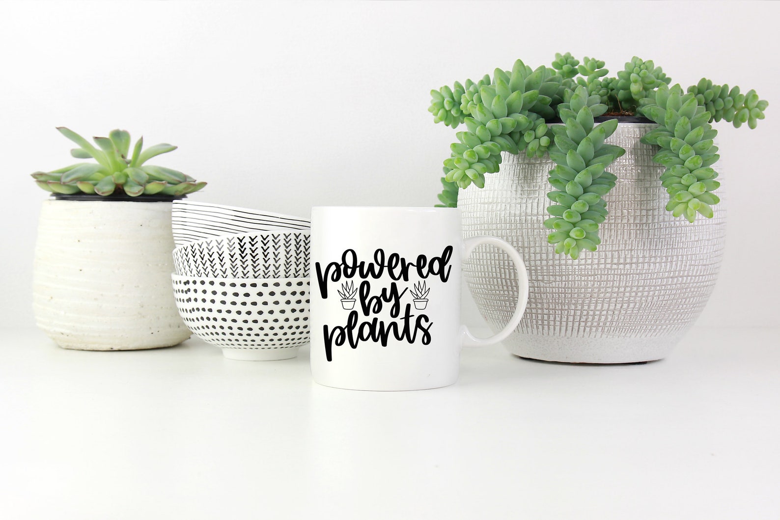 a base de plantes 7 lettres