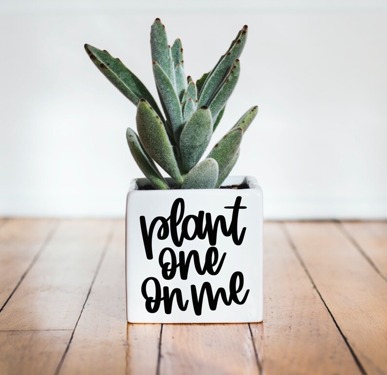 Download Plant Cut File Houseplant Svg Funny Plant Quote Svg Garden Quote Svg Succulent Svg Succulent Svg Bundle Plant Svg Bundle Plants Svg Clip Art Art Collectibles Timeglobaltech Com