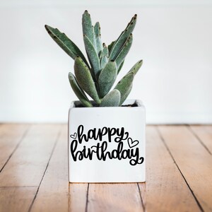 May include: White ceramic planter with the text "happy birthday" in black script with two small hearts on either side of the text. A green succulent plant is growing in the planter.