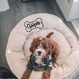 K&ouml;nnte beinhalten: Ein brauner und wei&szlig;er Hund mit einem Tarnmuster-Pullover sitzt in einem beigen Hundebett mit einem knochenf&ouml;rmigen Schild, auf dem "Cooper" steht.