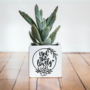 May include: White ceramic planter with a black floral design and the text "isn't she lovely" in a circle. A green succulent plant is growing in the planter.