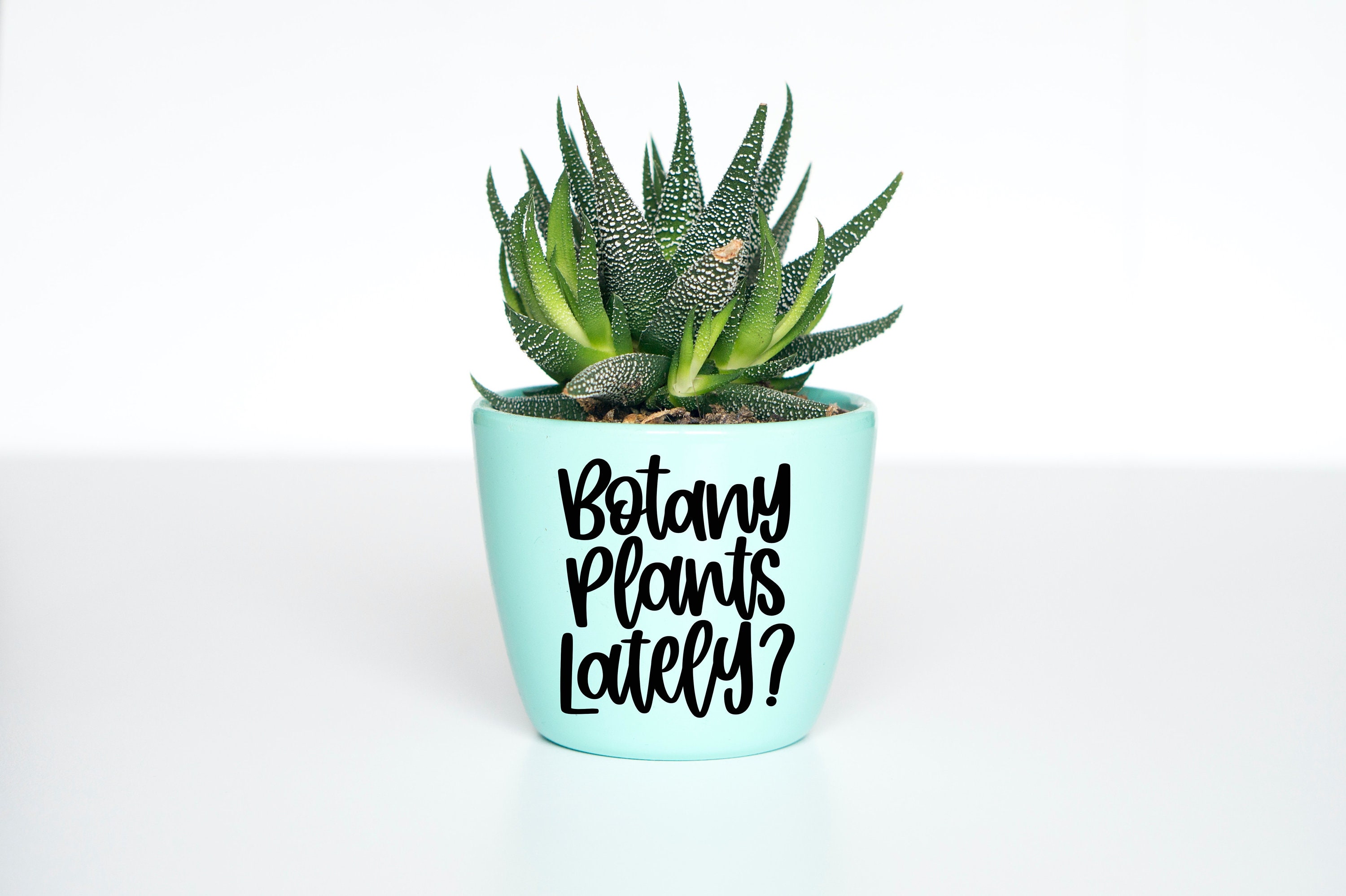 Plant Pun Svg Plant Quote Svg Funny Plant Svg Botany Plants Etsy