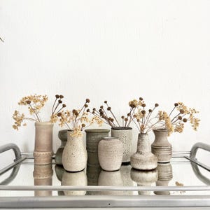 Peut inclure: Une collection de huit petits vases en céramique dans des tons terreux neutres, notamment beige, brun clair et vert sourd. Chaque vase présente une forme et une texture uniques, et ils sont garnis de brins de fleurs séchées marron clair.