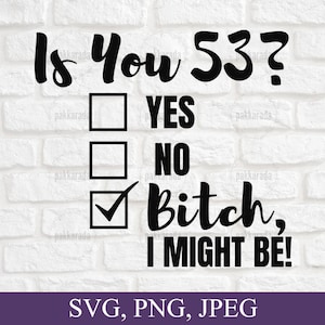 Grappige 53e verjaardag Svg, ben je 53? Bitch I Might Be Svg, Sassy 53e verjaardag Svg, Verjaardag Svg, Cadeau voor 53e verjaardag, Svg voor Cricut