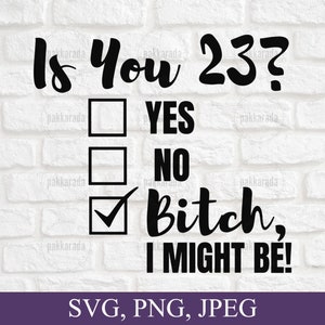 Lustige 23. Geburtstag Svg, Bist du 23? Hündin könnte ich Svg, frech23. Geburtstag Svg, Geburtstag Svg, Geburtstagsgeschenk, dreiundzwanzig Svg, für Cricut
