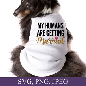 Meus humanos estão se casando Svg, Bandana de cachorro de casamento Svg, Anúncio de casamento, Roupas para animais de estimação Svg, Arquivos de corte para Cricut