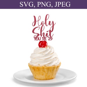 Holy Shit You're 29 Svg, Funny Birthday Cake Topper Svg, 29th Birthday Ideas, 29th Birthday Decor Svg, 29 Jaar Svg, PNG, Cutting File