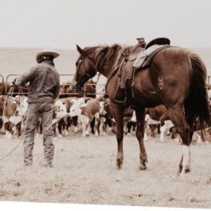 Op de afbeelding: Een cowboy in een bruine hoed en blauwe jeans staat met een bruin paard op een veld. Het paard draagt een zadel en een hoofdstel. Er zijn veel bruine en witte koeien op de achtergrond.