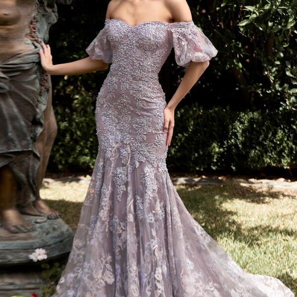 Off Shoulder Mermaid Prom Dresses Elegant Bride Toasting Evening Gowns LA6197 main image 1