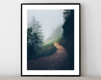 Natur Poster "Into the woods" | gedrucktes Bild in A4, A3 | Schweiz Poster, Landschaft Wald in den Schweizer Alpen, Wohndekor Wandbild