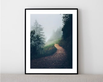 Nature poster in A3, Misty path through Swiss alpine forest on fine art paper, also available in frame, art print for home or office