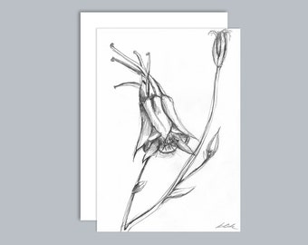 Illustrated Aquilegia flower A6 greeting card- Design 2