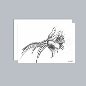 Illustrated Aquilegia flower A6 greeting card Design 3 image 1