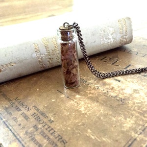 Nothing Gold Can Stay Glass Vial Necklace. Glass Bottle Pendant Preserved Maple Leaf Plant Necklace Nature Necklace Botanical Necklace