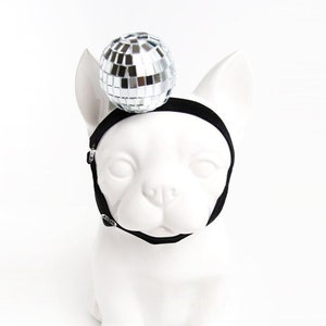 Disco ball online dog costume