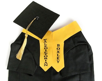 Graduation Gown Cap Stole Set - Pet Graduation Set, Personalized Stole, Graduation Cap, Black Gown Dog & Cat, Class of 2024 Photo Gift