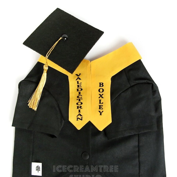 Graduation Gown Cap Stole Set - Pet Graduation Set, Personalized Stole, Graduation Cap, Black Gown Dog & Cat, Class of 2024 Photo Gift