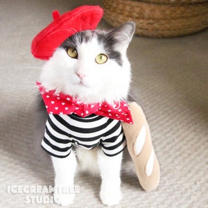 French Look Outfit Set Pet Beret Hat, Red Scarf, Black White Striped T-shirt, Cat Beret Hat Set, Dog Beret Hat Set, Birthday Photo Gift image 2