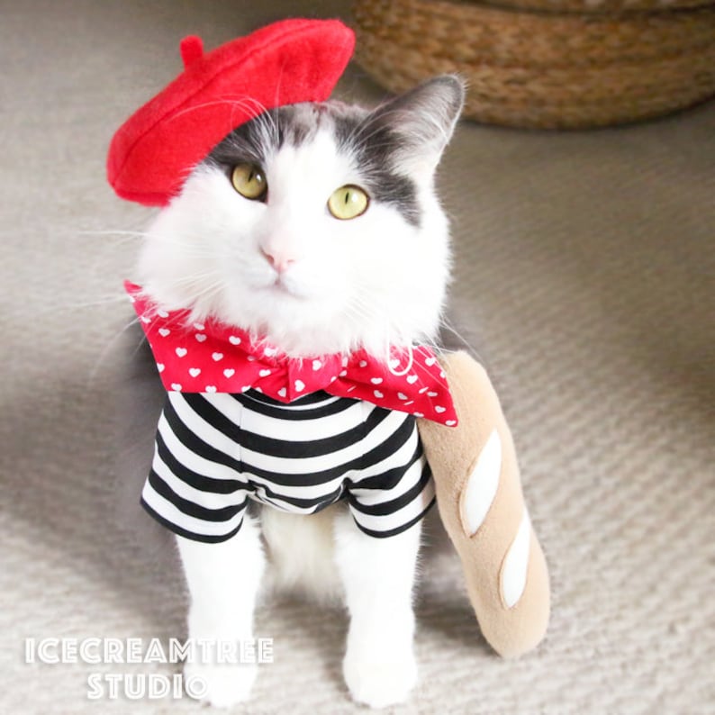 French Look Outfit Set Pet Beret Hat, Red Scarf, Black White Striped T-shirt, Cat Beret Hat Set, Dog Beret Hat Set, Birthday Photo Gift image 2