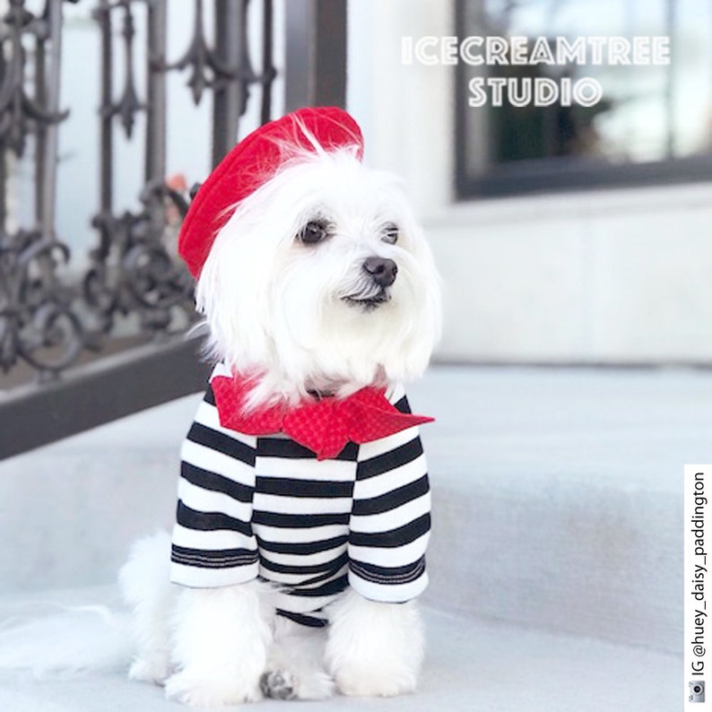 French Look Outfit Set Pet Beret Hat, Red Scarf, Black White Striped T-shirt, Cat Beret Hat Set, Dog Beret Hat Set, Birthday Photo Gift image 3