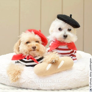 French Look Outfit Set Pet Beret Hat, Red Scarf, Black White Striped T-shirt, Cat Beret Hat Set, Dog Beret Hat Set, Birthday Photo Gift image 9