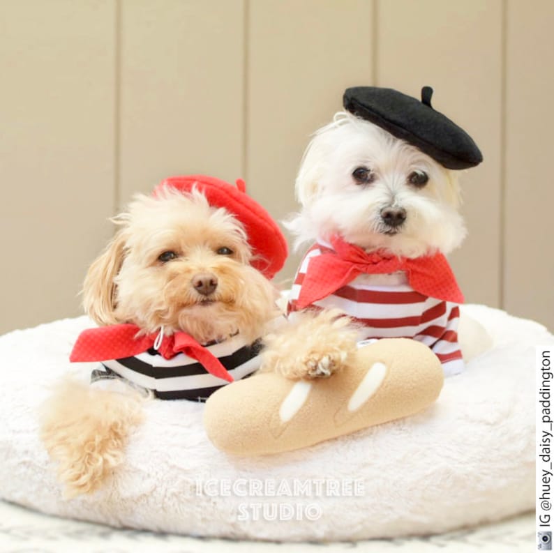 French Look Outfit Set Pet Beret Hat, Red Scarf, Black White Striped T-shirt, Cat Beret Hat Set, Dog Beret Hat Set, Birthday Photo Gift image 9