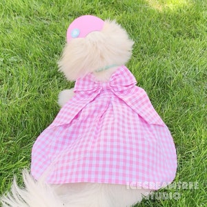 Puede incluir: Un perro blanco con un vestido de cuadros rosa y blanco con un lazo rosa y un sombrero rosa con un bot&oacute;n azul. El perro est&aacute; tumbado en la hierba verde.