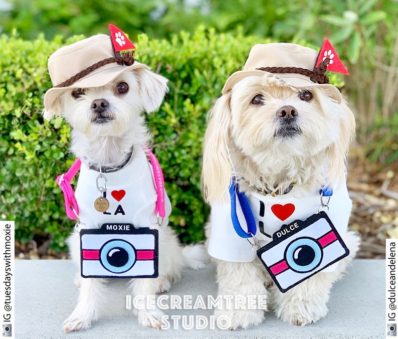 Explorer Tourist Bucket Hat Pet Petite Bucket Hat, Dog Bucket Hat, Cat Bucket hat, Safari Fishing Camping Hat, Costume, Photo Prop, Gift image 5