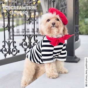 French Look Outfit Set Pet Beret Hat, Red Scarf, Black White Striped T-shirt, Cat Beret Hat Set, Dog Beret Hat Set, Birthday Photo Gift image 5